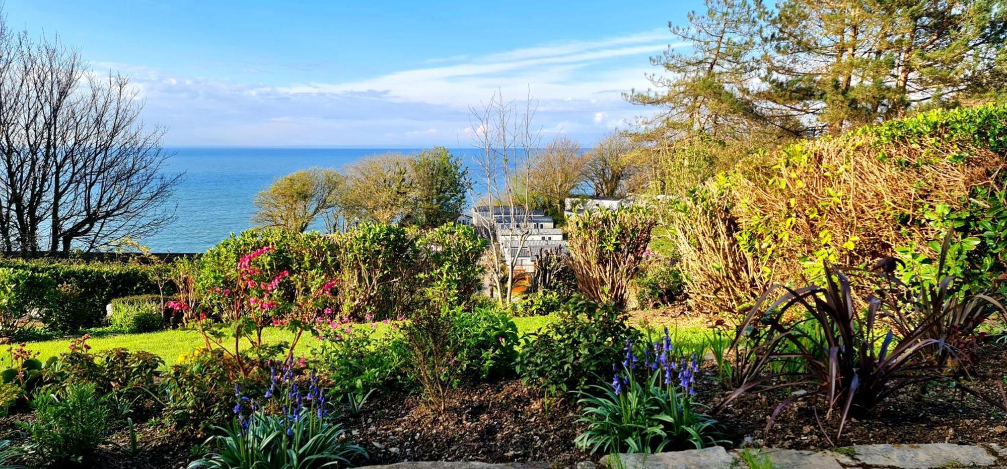 Newberry Wood Guesthouse Ilfracombe Exteriör bild