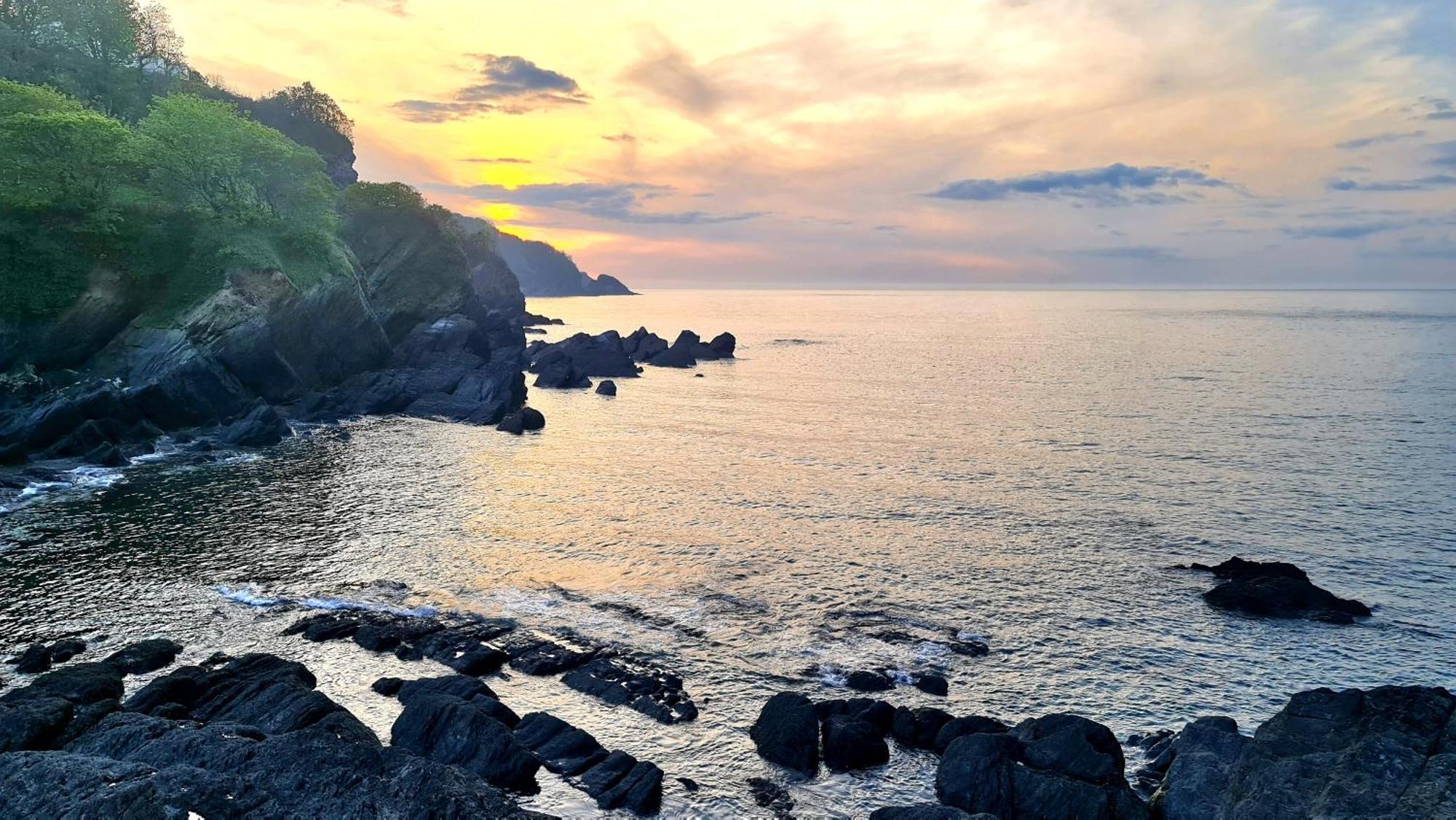 Newberry Wood Guesthouse Ilfracombe Exteriör bild